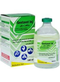 جنتافت| جنتاميسين  للحقن | مضاد حيوي |  لعلاج التهابات الجهاز الهضمي والتنفسي والتناسلي