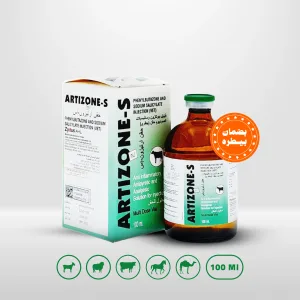 ARTIZONE-S