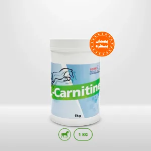 ال كارنيتين , أفضل مكمل غذائي للخيل