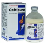Ceftipure| Ceftiofur | Powerful, Targeted Treatment for Cattle Infections