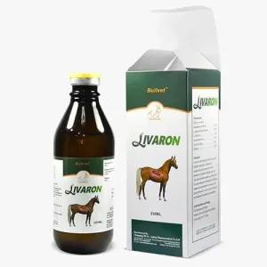 ليفرون الاخضر